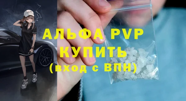 spice Сясьстрой
