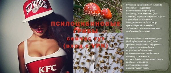 меф Тайга