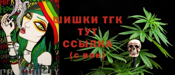 спиды Богданович