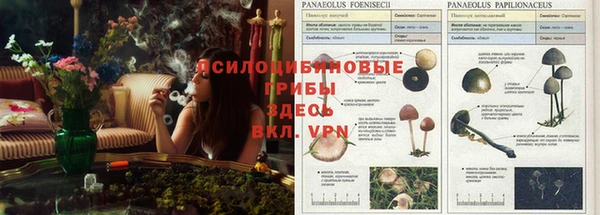 а пвп мука Верхний Тагил